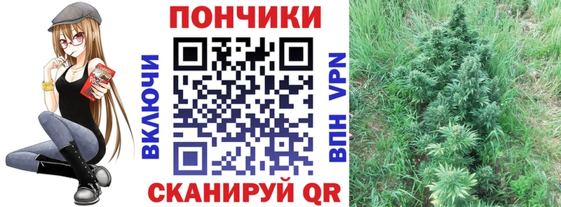 Виды наркотиков купить Раменское КОКАИН  МЕФ  Канабис 