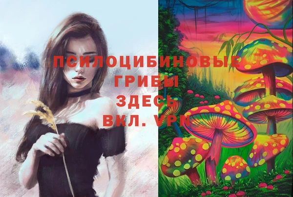 метадон Алзамай