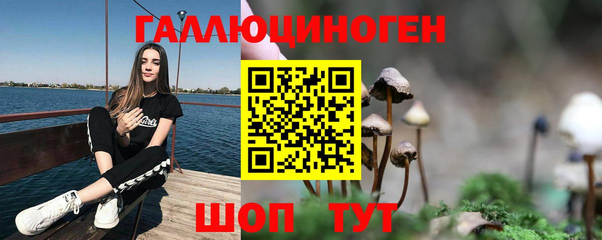 Раменское  Псилоцибиновые грибы мицелий  Вход с VPN 