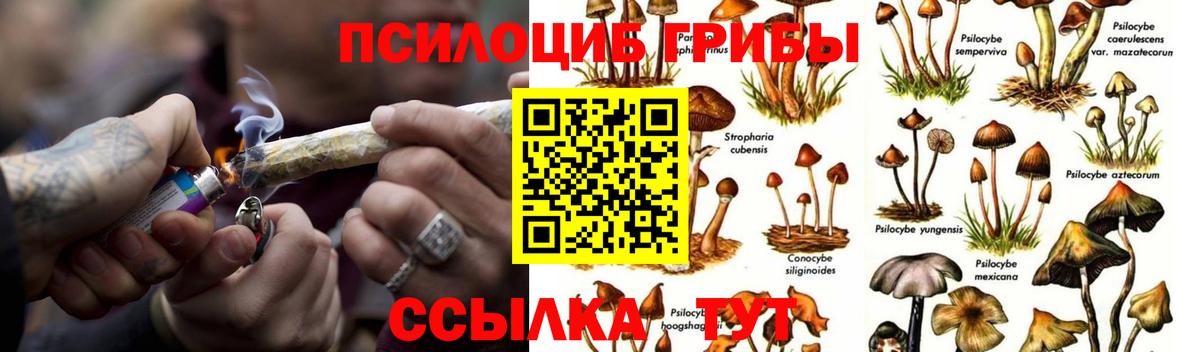 ГАШ  Cocaine  Канабис  LSD-25  Раменское  Вход с VPN  Мефедрон кристаллы  Альфа ПВП СК  